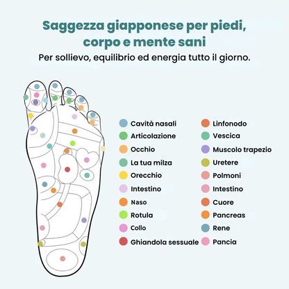RinovaX™ – Smärtlindrande magnetiska inläggssulor 